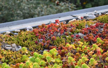 the cost of Sholing green roof installation