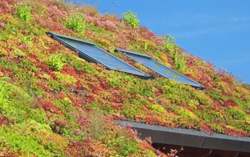 Sholing living roof systems